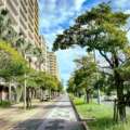 EZZY GROUP: LEADING THE WAY IN SUSTAINABLE AND LUXURY REAL ESTATE IN BANGALORE